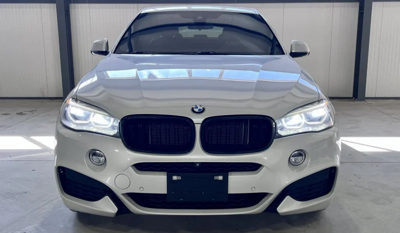 
								BMW X6 35i xDrive M Package Shadow Line full									