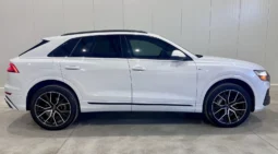 
										Audi Q8 55 TFSI Technik S LINE full									