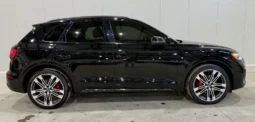 
										Audi SQ5 Technik Black Optic full									