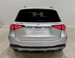 Mercedes-Benz GLE 450 4M AMG Package