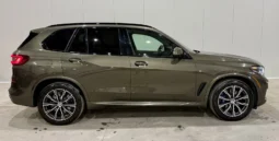 
										BMW X5 45e xDrive M Package full									