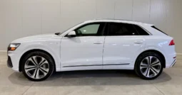 
										Audi Q8 55TFSI Technik full									