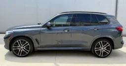 
										BMW X5 40i xDrive M Package full									