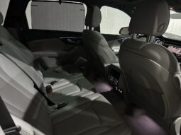 
										Audi Q7 55TFSI Technik full									
